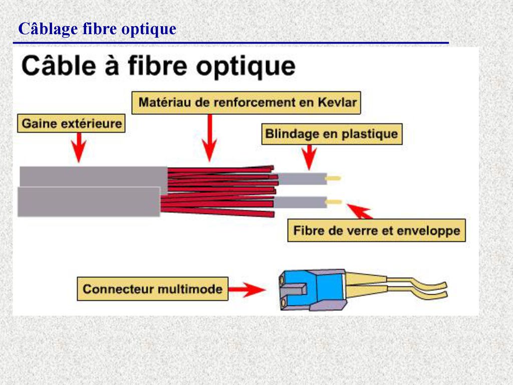 Introduction aux réseaux informatiques ppt télécharger